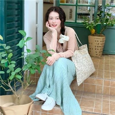 恐龙战队第一季